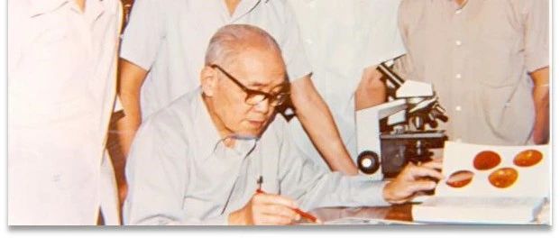 cover_image