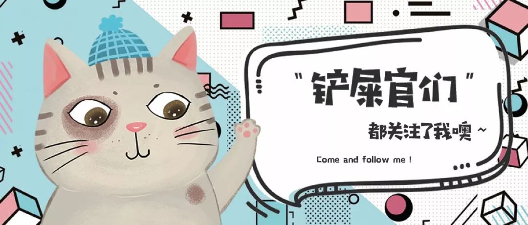 央视辟谣怀孕不能养宠物-Papi酱晒孕期与猫同床照片，那些说怀孕不能养猫的人都进来给我看！