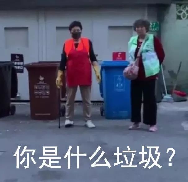 上海正式履行垃圾分類！一篇文章帶你看懂寵物垃圾如何分類！ 寵物 第1張