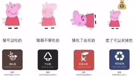 上海正式履行垃圾分類！一篇文章帶你看懂寵物垃圾如何分類！ 寵物 第3張