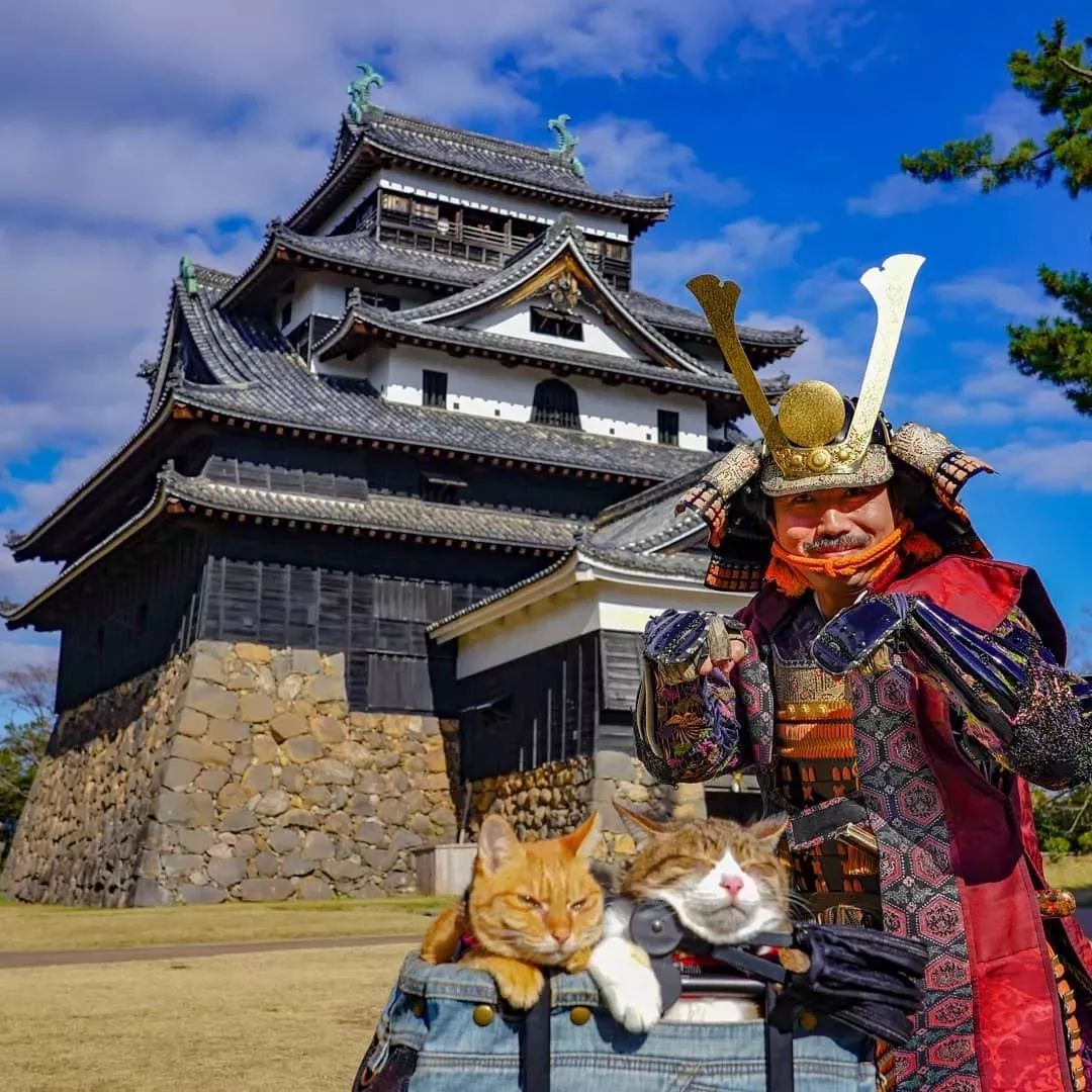 人不如貓系列，一個人兩隻貓8年、環遊日本1000多個景點！看完我酸了！ 寵物 第19張