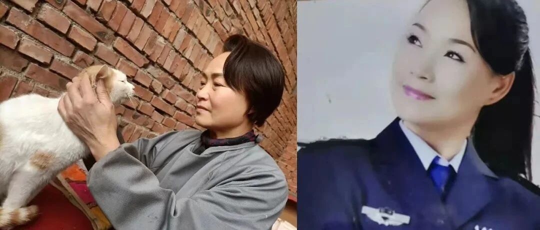 紧急求援！退休民警带着800只流浪猫狗发出求救，恳求大家请它们吃顿饱饭！