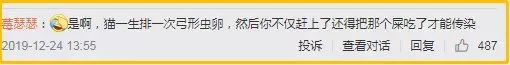 央视辟谣怀孕不能养宠物原文_央视关于怀孕养宠物_央视辟谣怀孕不能养宠物