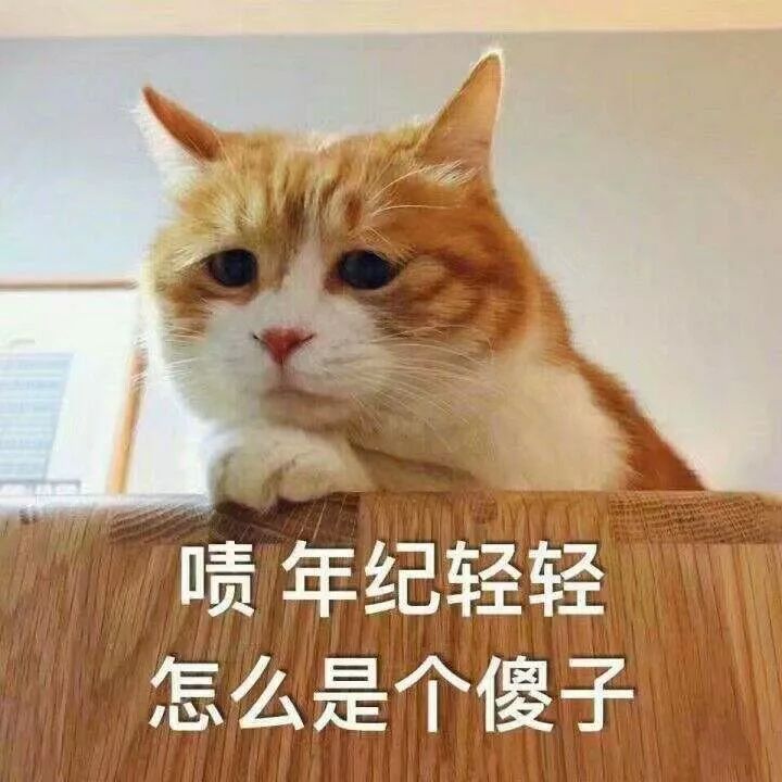 央视辟谣怀孕不能养宠物原文_央视关于怀孕养宠物_央视辟谣怀孕不能养宠物
