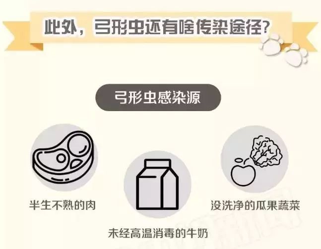 央视辟谣怀孕不能养宠物_央视关于怀孕养宠物_央视辟谣怀孕不能养宠物原文
