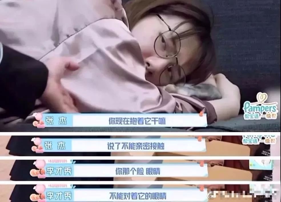 央视辟谣怀孕不能养宠物原文_央视辟谣怀孕不能养宠物_央视关于怀孕养宠物