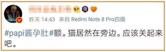 央视辟谣怀孕不能养宠物原文_央视关于怀孕养宠物_央视辟谣怀孕不能养宠物