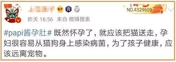央视辟谣怀孕不能养宠物原文_央视关于怀孕养宠物_央视辟谣怀孕不能养宠物