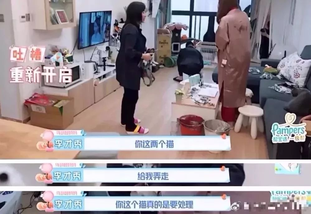央视辟谣怀孕不能养宠物_央视辟谣怀孕不能养宠物原文_央视关于怀孕养宠物