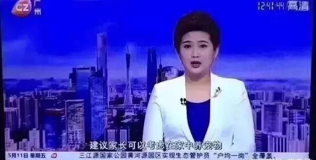 央视辟谣怀孕不能养宠物_央视辟谣怀孕不能养宠物原文_央视关于怀孕养宠物