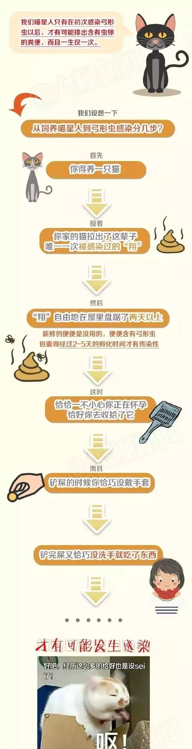 央视关于怀孕养宠物_央视辟谣怀孕不能养宠物原文_央视辟谣怀孕不能养宠物