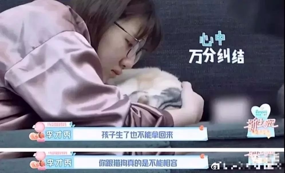 央视辟谣怀孕不能养宠物原文_央视关于怀孕养宠物_央视辟谣怀孕不能养宠物