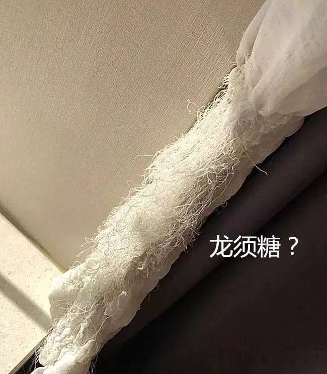 養貓，誰還沒有後悔過呢？ 寵物 第40張