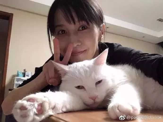 央视辟谣怀孕不能养宠物原文_央视辟谣怀孕不能养宠物_央视关于怀孕养宠物