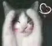 速看！双流这条街上又搞事情了！哈哈哈哈哈哈……