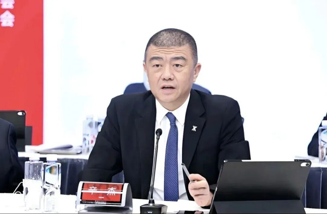 万科董事长辛杰辞职