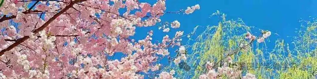 d-spect怎么检查【腹部影像学】陈文新教授团队：99Tcm-FAPI SPECT／CT对晚期结直肠癌诊断效能及免疫治疗决策的影响_https://www.jmylbn.com_新闻资讯_第4张