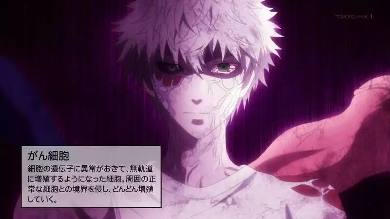 诺贝尔医学奖 工作细胞解说本庶佑功绩秒懂癌症治疗迈进一大步 Acg文化圈 微信公众号文章阅读 Wemp