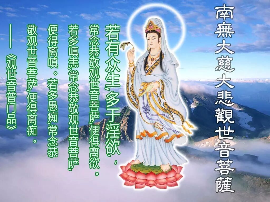 1511070615391581.jpg