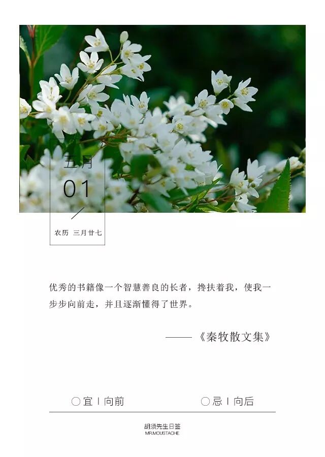 真夏的樱花 胡须先生 南通新闻