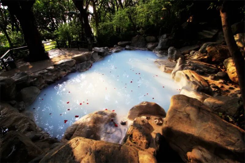 游在云南样样好