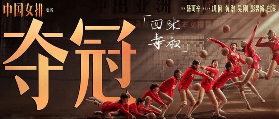 为什么《夺冠》让我们热泪盈眶，答案是这两个字