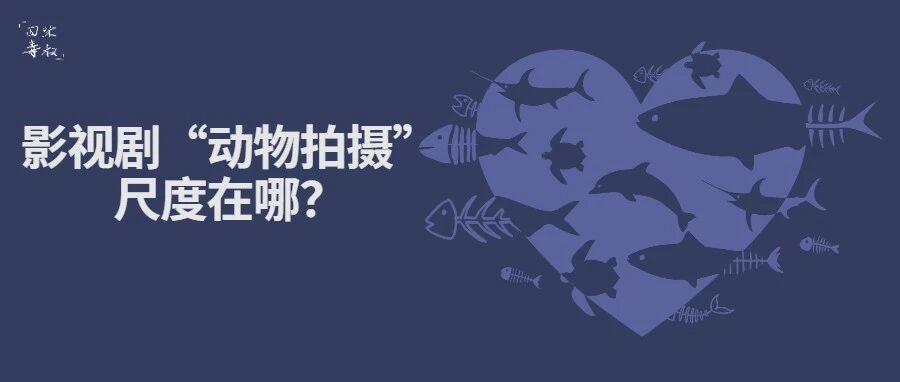 影视剧和“动物拍摄”的尺度，过分的只是「毒猫」吗？