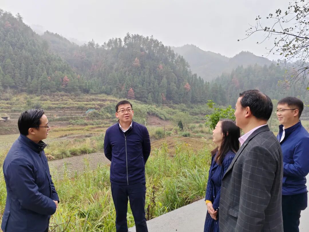 张勇调研碧江区山水林田湖草沙,高标准农田建设,河道治理,国储林等