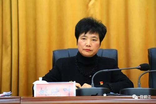 市人大常委会副主任,区委书记,区委主题教育领导小组组长陈代文作总结