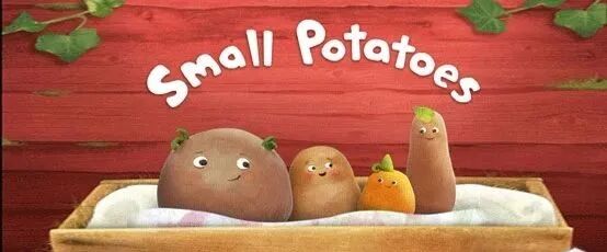 Twins是什么意思 芒顿思创少儿英语 广西新闻