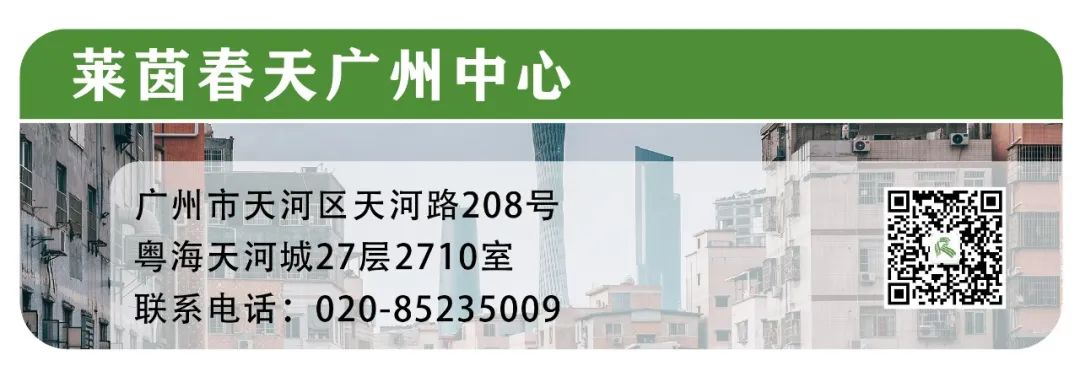 2021年欧洲杯子_2020欧洲杯子_欧洲杯几年一次