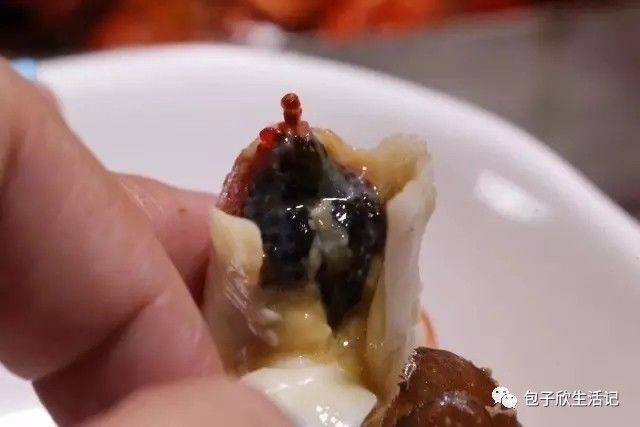 为了让你能在冬天吃上小龙虾,珍姐在澳洲引进了它!