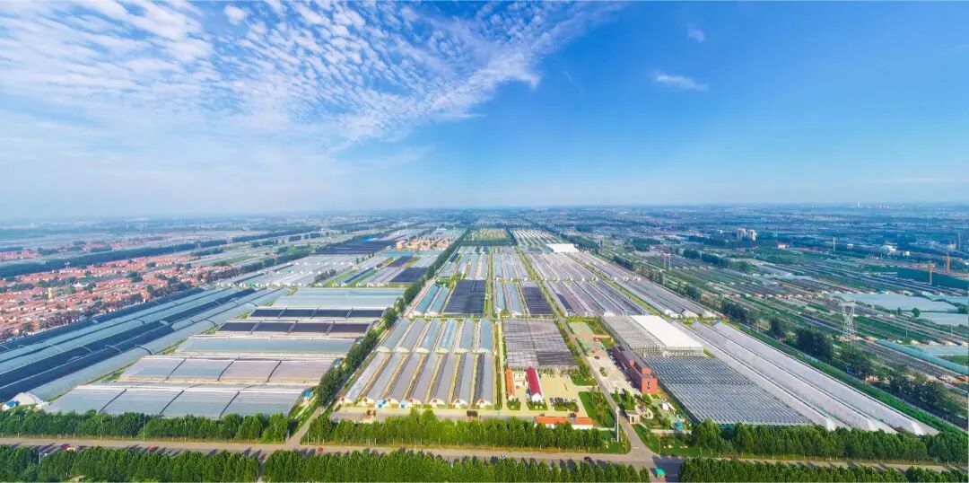 潍坊寿光产学研融合农业科技成果转化加速度