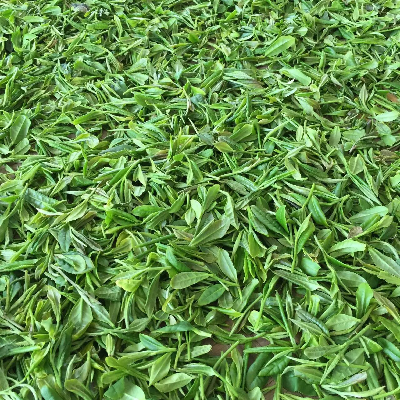 王位山优质高山径山茶开始预订啦!|广西优质茶叶交流组