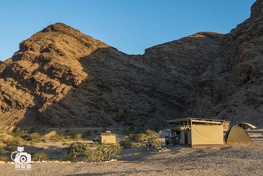 纳米比亚：骷髅海岸追踪沙漠狮