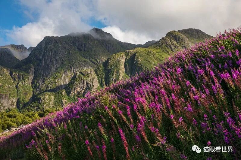挪威：仙游罗弗敦群岛