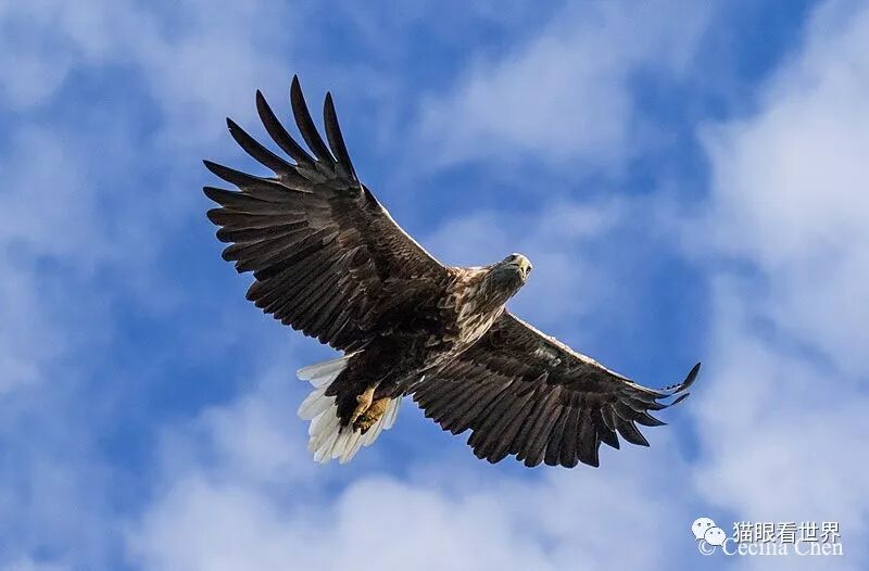 挪威：仙游罗弗敦群岛