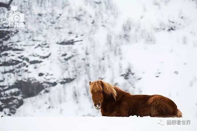 挪威：仙游罗弗敦群岛