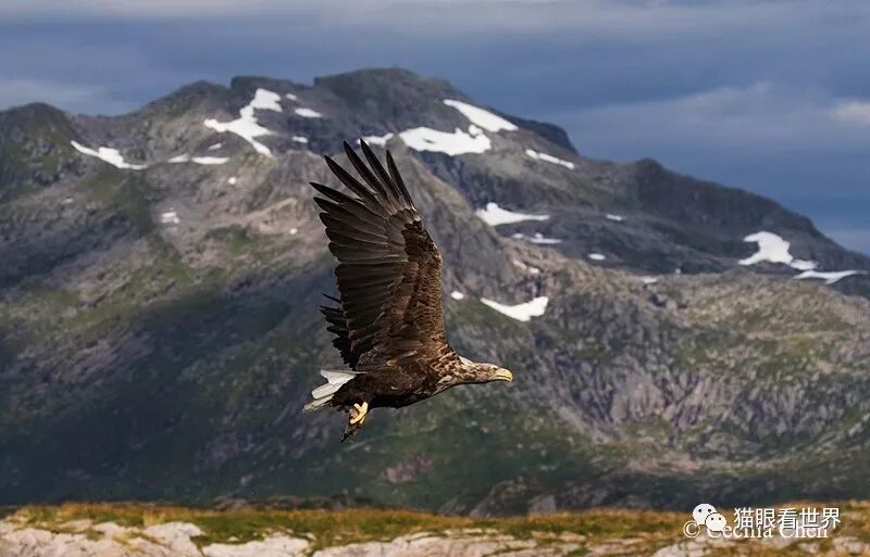 挪威：仙游罗弗敦群岛