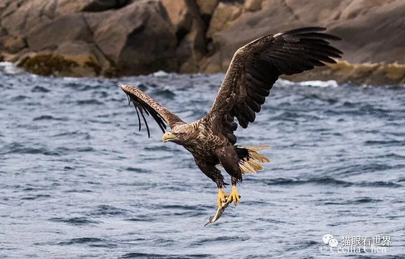 挪威：仙游罗弗敦群岛