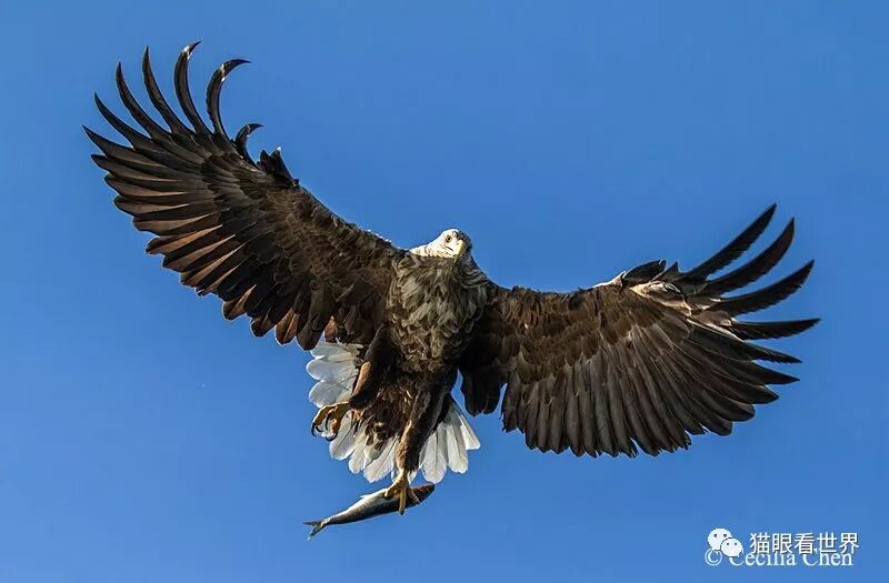 挪威：仙游罗弗敦群岛