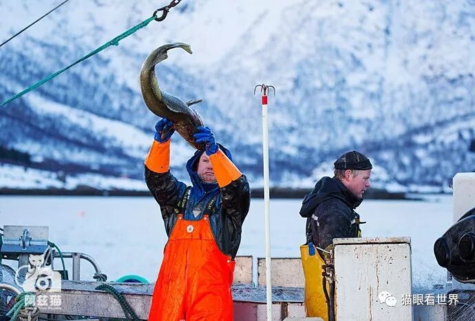 挪威：仙游罗弗敦群岛