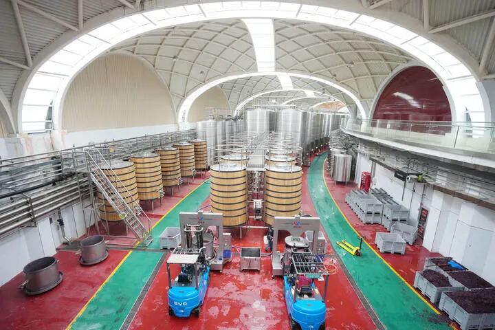 微信图片_2026-06-18_101923_317.jpg