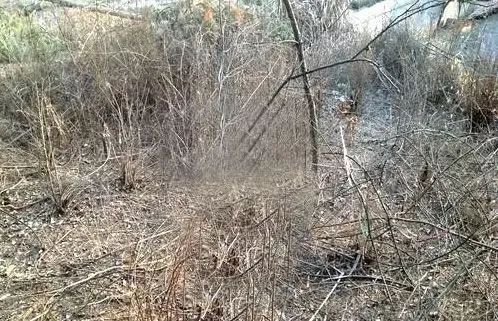 除草剂配方_除草剂调配方法_除草剂配方制作大全
