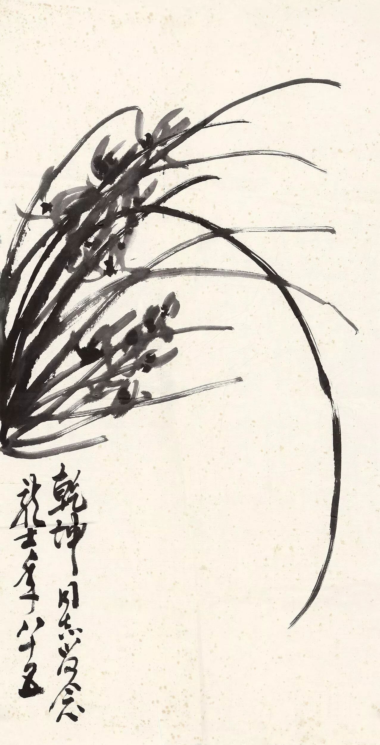 现当代名家萧龙士兰花作品欣赏