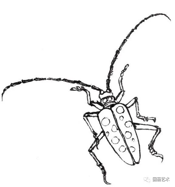 图文教程 | 分步教你画一只白描【天牛】 - chrome插件网