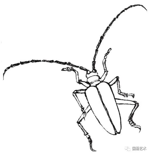 图文教程 | 分步教你画一只白描【天牛】 - chrome插件网