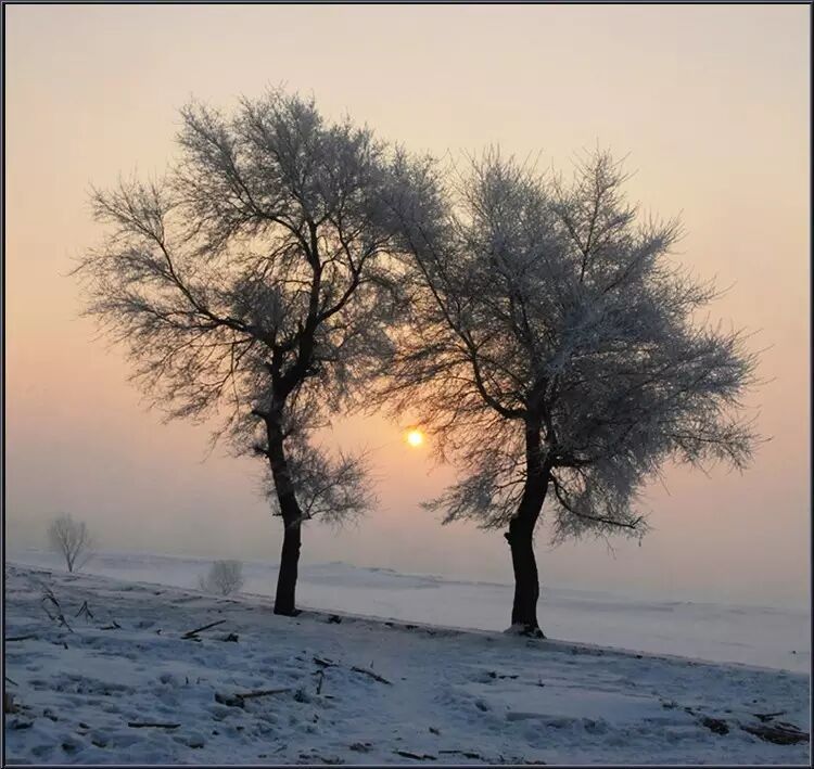 移松开的手臂呵呵 不怪你你的目光无助而迷离在寒风刺来的时候你在飘