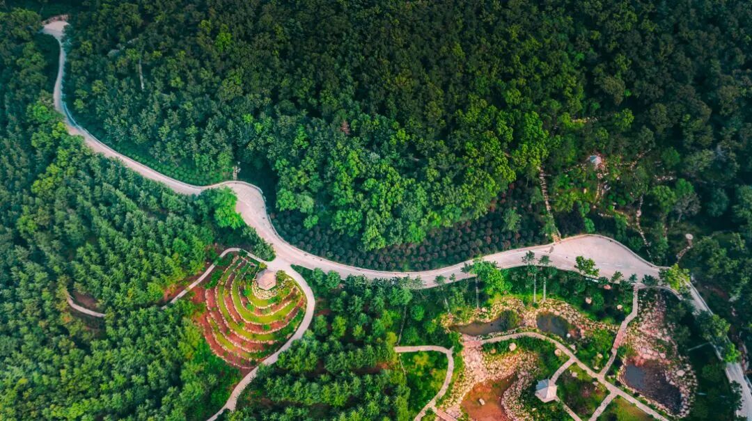 山间的风是自由的,你也是