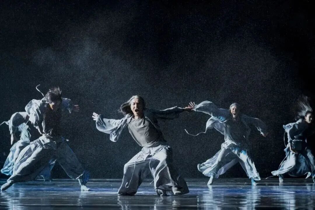 内蒙古舞蹈家协会 | 2025，舞蹈记忆 第4张